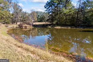 1091 E Peachtree Ave, Woodville, GA 30669 - Photo 4