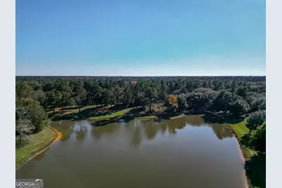 0 New York Road, Leesburg, GA 31763 - Photo 6
