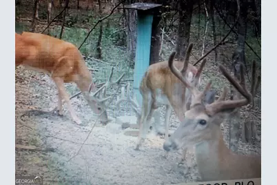 2566 U S 19 Highway, Meansville, GA 30256 - Photo 38