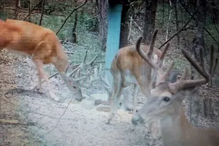 2566 U S 19 Hwy, Meansville, GA 30256 - Photo 38