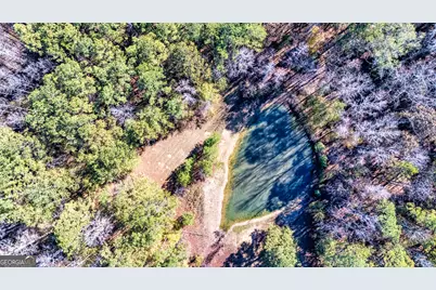 276 Lee Thompson Road, Moreland, GA 30259 - Photo 8