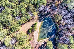 276 Lee Thompson Rd, Moreland, GA 30259 - Photo 8