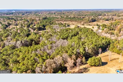 276 Lee Thompson Road, Moreland, GA 30259 - Photo 10