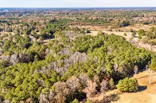 276 Lee Thompson Rd, Moreland, GA 30259 - Photo 10