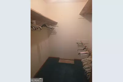 276 Lee Thompson Road, Moreland, GA 30259 - Photo 28