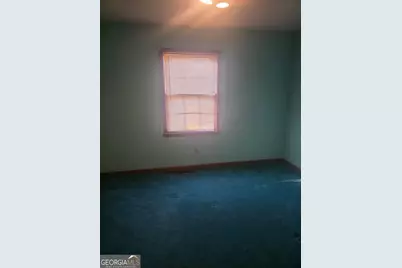 276 Lee Thompson Road, Moreland, GA 30259 - Photo 32