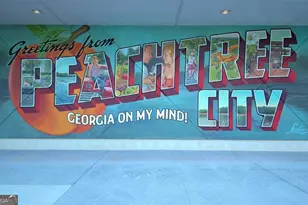 115 Cottage Grove, Peachtree City, GA 30269 - Photo 40