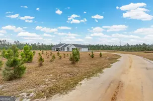 7059 Thorn Bird Rd, Waycross, GA 31503 - Photo 28