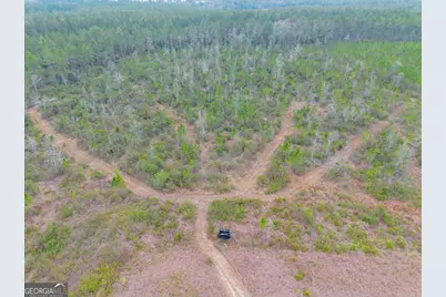 7059 Thornbird Road, Waycross, GA 31503 - Photo 30