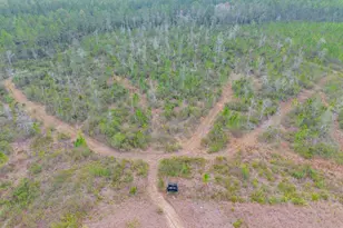 7059 Thorn Bird Rd, Waycross, GA 31503 - Photo 30