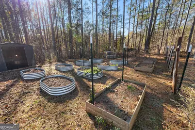 105 Turnberry Trace, Sharpsburg, GA 30277 - Photo 62