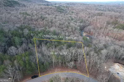 0 South Laceola Road #LOT 119, Cleveland, GA 30528 - Photo 2