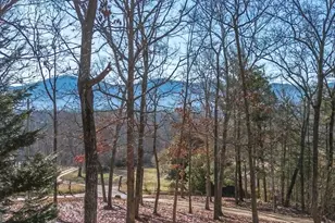 878 Copperhead Rd, Blairsville, GA 30512 - Photo 6