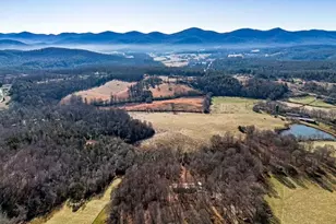 878 Copperhead Rd, Blairsville, GA 30512 - Photo 48