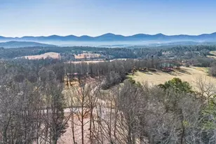 878 Copperhead Rd, Blairsville, GA 30512 - Photo 46