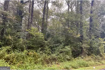 116 Tasha Road, Ivey, GA 31031 - Photo 1