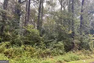 116 Tasha Rd, Ivey, GA 31031 - Photo 1