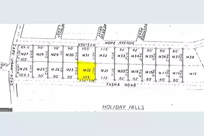 116 Tasha Road, Ivey, GA 31031 - Photo 4