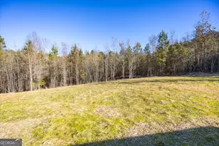 167 Mountain Springs Church Rd, Macon, GA 31217 - Photo 26