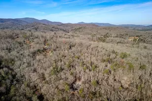 292 Wits End Way, Blue Ridge, GA 30513 - Photo 32