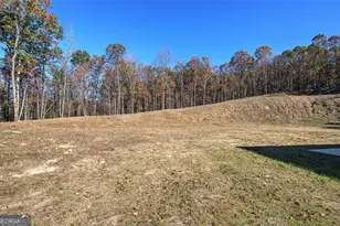 443 Road 3 S, Cartersville, GA 30120 - Photo 28