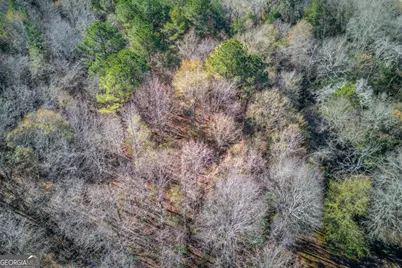 614 Anns Way, Winder, GA 30680 - Photo 38