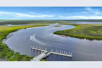 98 Small Pine Lane, Richmond Hill, GA 31324 - Photo 46