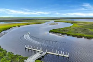 98 Small Pine Ln, Richmond Hill, GA 31324 - Photo 46