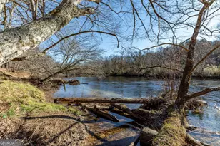 661 Toccoa River Forest Ln, Mineral Bluff, GA 30559 - Photo 68