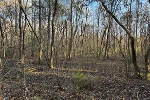 13990 Ga Hwy 27, Lumpkin, GA 31815 - Photo 1