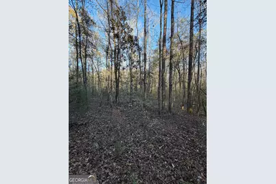 13990 Ga Highway 27, Lumpkin, GA 31815 - Photo 2
