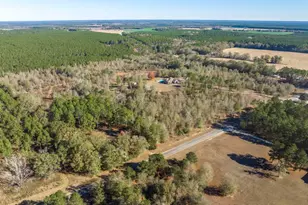 4065 Gordon Rd, Abbeville, GA 31001 - Photo 46