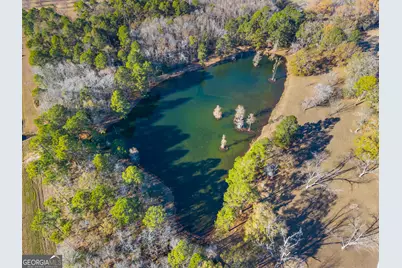 20316 US Highway 80 W, Statesboro, GA 30458 - Photo 36