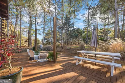 3703 Lankford Road, Lavonia, GA 30553 - Photo 88