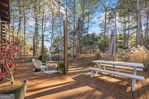 3703 Lankford Rd, Lavonia, GA 30553 - Photo 88