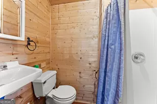 1688 Ben Jones Rd, Clarkesville, GA 30523 - Photo 24