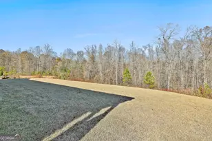 335 Werner Wy, Senoia, GA 30276 - Photo 48