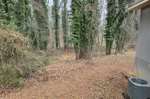 150 Kentucky Dr, Demorest, GA 30535 - Photo 16