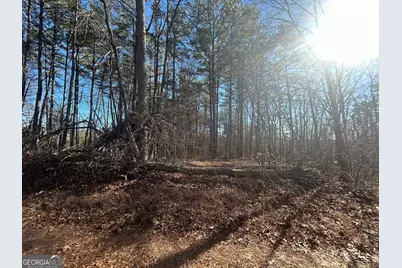 0 Highland Tree Court, Ranger, GA 30734 - Photo 4