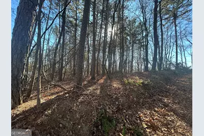 0 Highland Tree Court, Ranger, GA 30734 - Photo 1