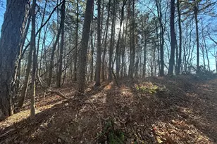 0 Highland Tree Ct, Ranger, GA 30734 - Photo 1