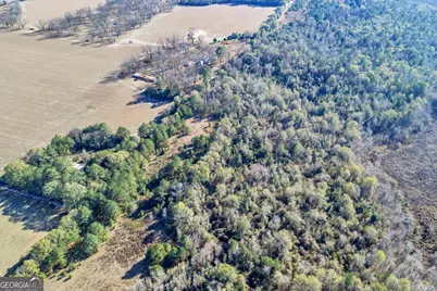 0 Sandbed Road, Kathleen, GA 31047 - Photo 18