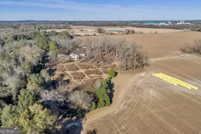 0 Sandbed Road, Kathleen, GA 31047 - Photo 44