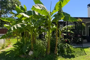 35 Candlewood Dr, Newnan, GA 30265 - Photo 76