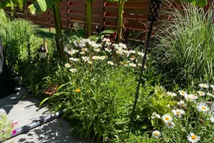 35 Candlewood Dr, Newnan, GA 30265 - Photo 74