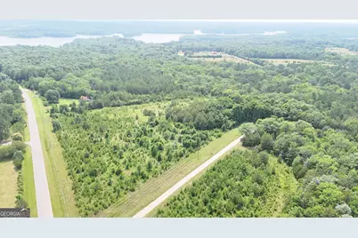 0 Pearl Mill Road, Elberton, GA 30635 - Photo 8