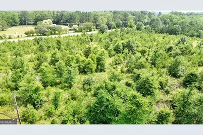 0 Pearl Mill Road, Elberton, GA 30635 - Photo 18