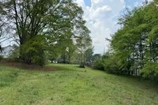 0 Spring St, Warm Springs, GA 31830 - Photo 1