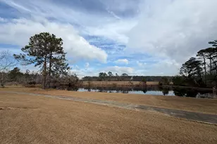 1668 E Golden Isles Hwy, McRae-Helena, GA 31055 - Photo 18