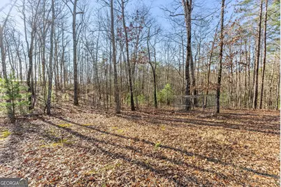 368 Harkins Road, Cleveland, GA 30528 - Photo 8
